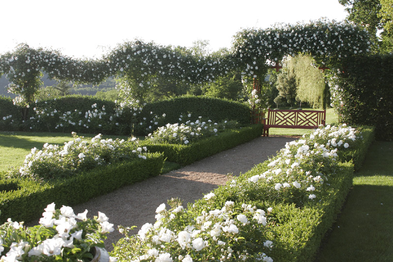 photos-eric-sander-320