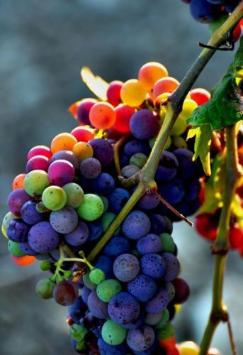 00f41f4d9e7cf4c80fefde52625c2bcb