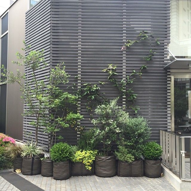 010e09052eff03dc44e03381e8ea6585