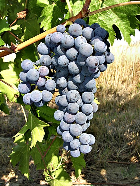 0b40eccf357c91d896f9196c530fcbcf