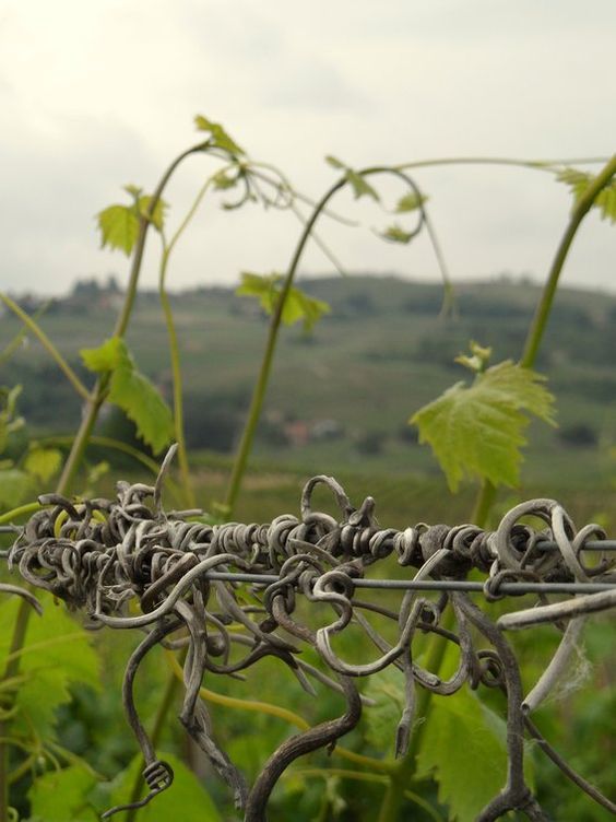 1023ae204822ea62ea790b985393c4ea