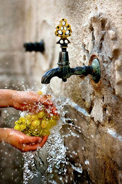 177d9205aecba0aee56bff7f108e1bae