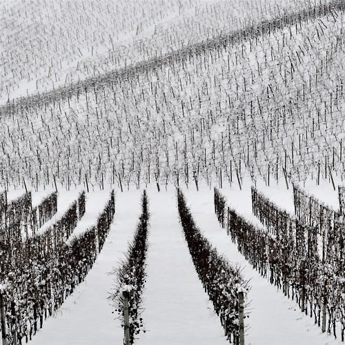 1b354cc525b863303de4d0a75b72a420