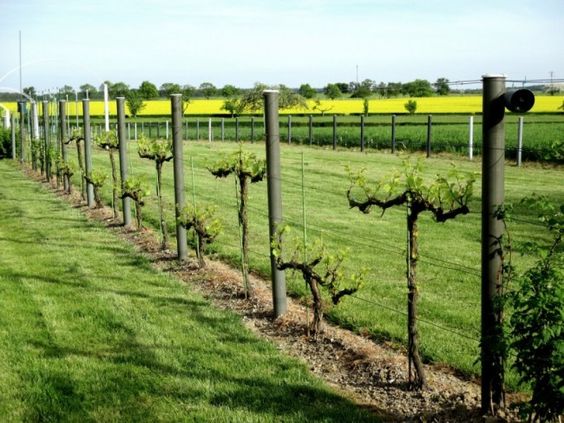 2764947eda299f8caed3690d78064714