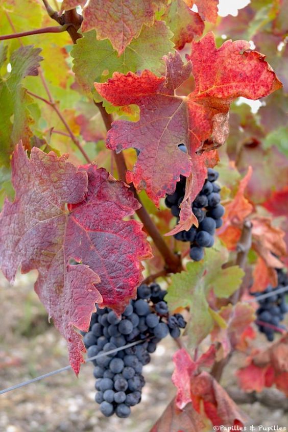 3f386493da325b7a972ffff7ebf03e90