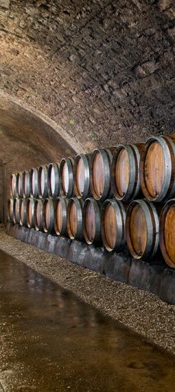 470dbfdc63967dca8020e47a8da9f9de