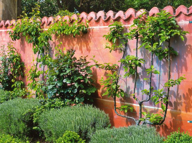 532eb31808dbcfc1b53f5a5b470917f2