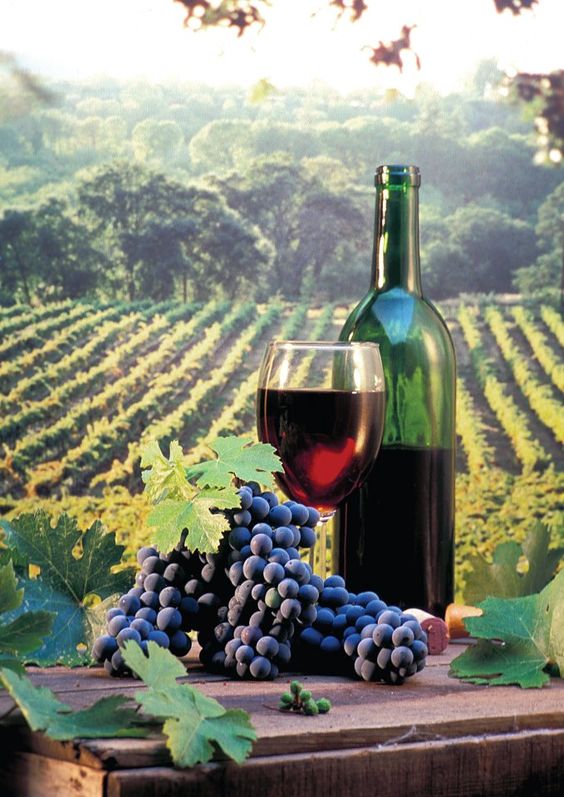 5a89ef3e86b4e9d579094a7bb57ff504