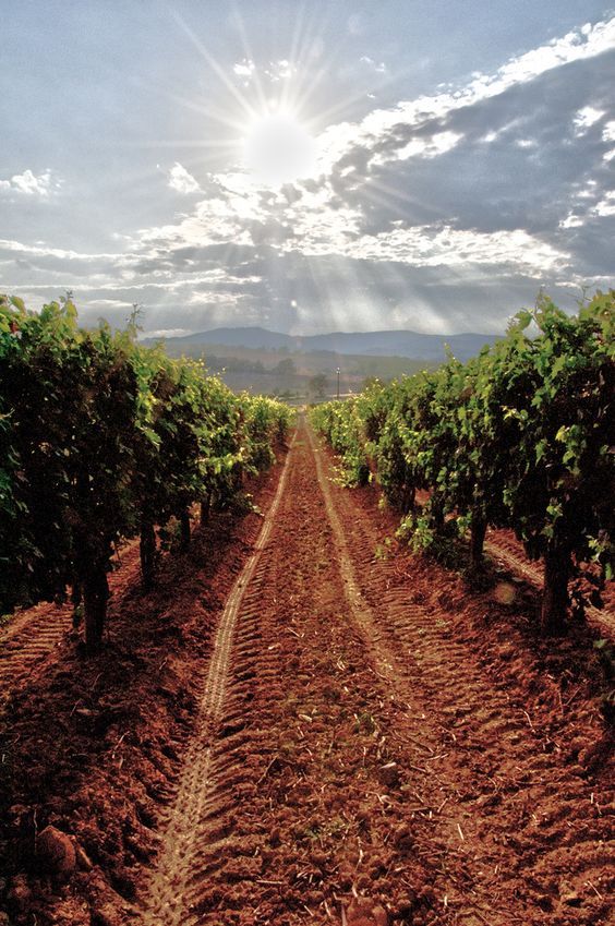 66bfdfac0f7ded1b13565c907c19902e