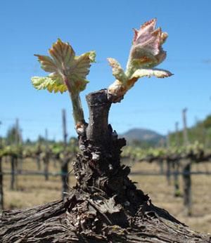 688f64dd2c30f854d3fc25ecc5536e06