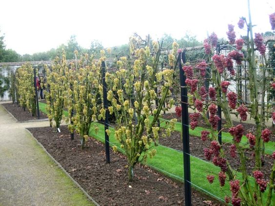 7045c4a07a622e4d8cbd02eefda5476d