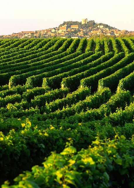 7627fd77e8763efbb100dcd4df676775