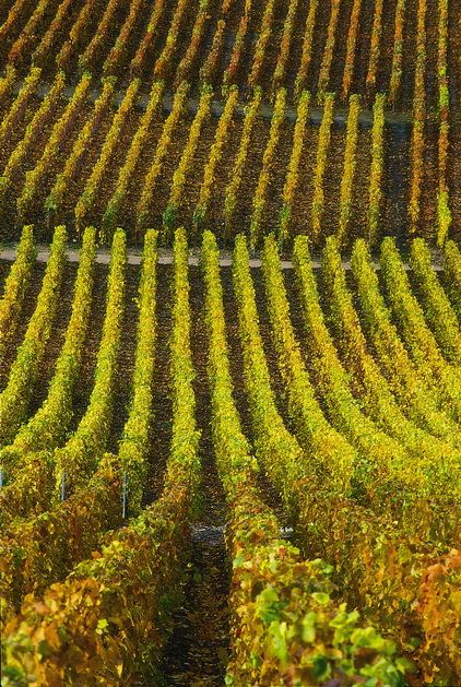 878403b57f2641ef4c589fdecf91de3b