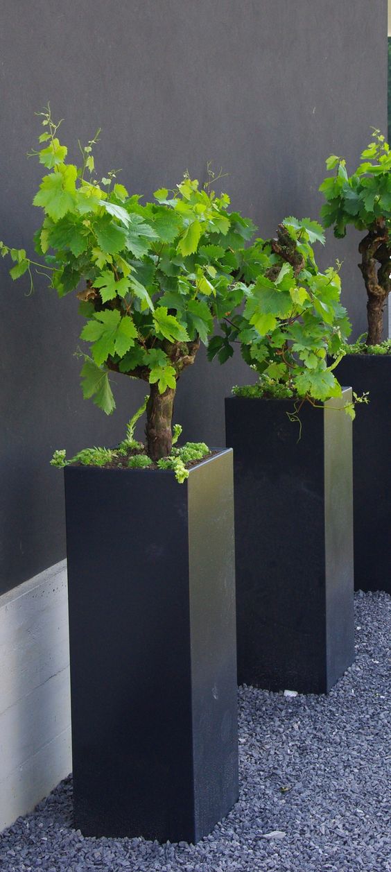 97f12ee537c197c10898af8f7713f0b2