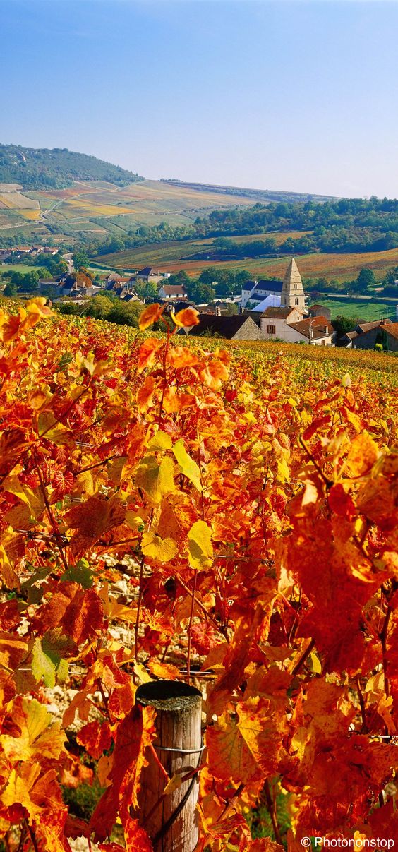 98957732b7dd80dac01fe60248cdcebf