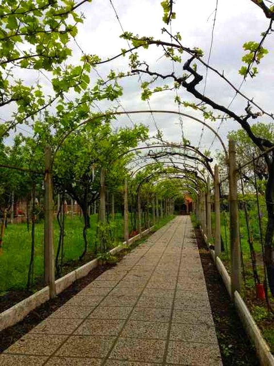 9a0e00b06eebaadad9df1626210bcfd2