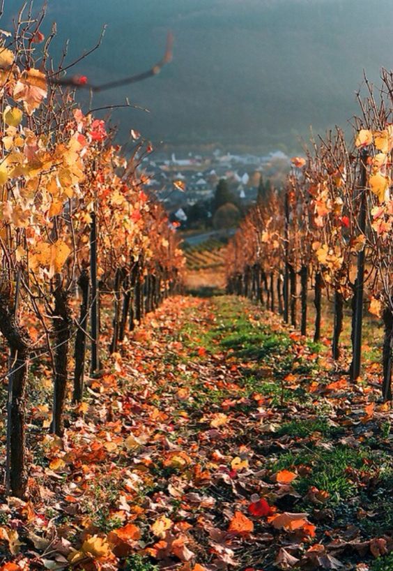 a173c1798dead07048e03fcaff0a65c8