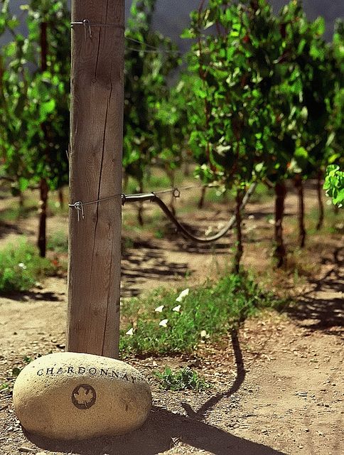 c54e1dea94e424cf9b97bd210d370e04