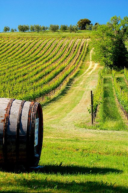 c838ef245c38a2a3d6396d29890ba7aa