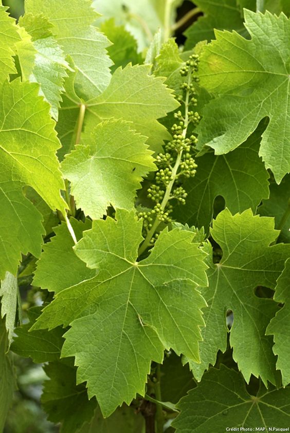 cb2f7fdde4cdc42970f3a41b38186072