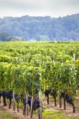 f2c871bdd266ced68c6ffd257984e2f3