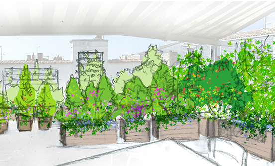 herbes-fauves-fleuriste-bordeaux-paysagiste-paysagisme-JUNGLE-terrasse-jardin-aménagement-plantes-verdure-jardinière-arbres-arbuste-création-conception-rooftop-dessin-croquis