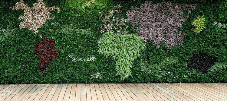 mur-vegetal-terrasse