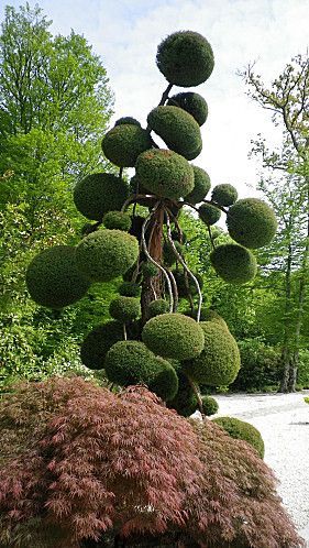 015b0ea257ba3b754d197f3ae9d91a6f