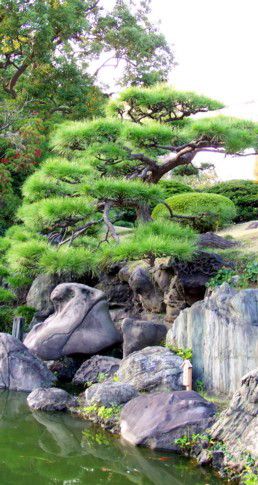 06d4fbadc473ba4ea935b93df0d78f5b