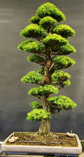 0c60d0c4b49f6078da23a2941064754e