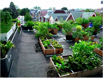 0cfbc248f91ff254a8b22809d83ecbf9