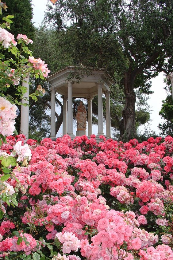 0d684b78701d40aef9a085f3707d3c70