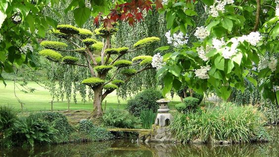 1688b0d5f0b6d68b57d8278d29066ff6