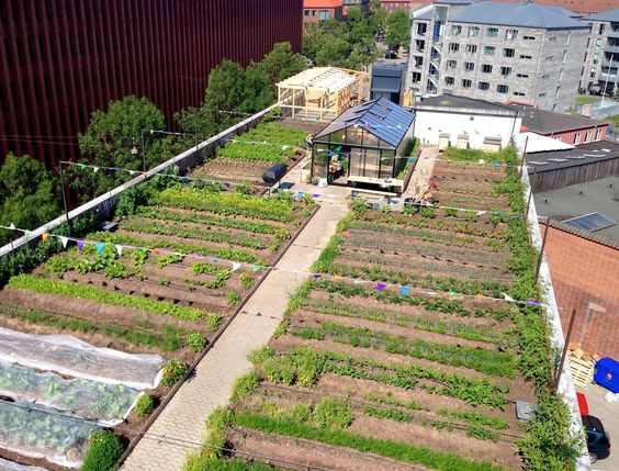 18f13a0d544f1385ac686cdca45ad460