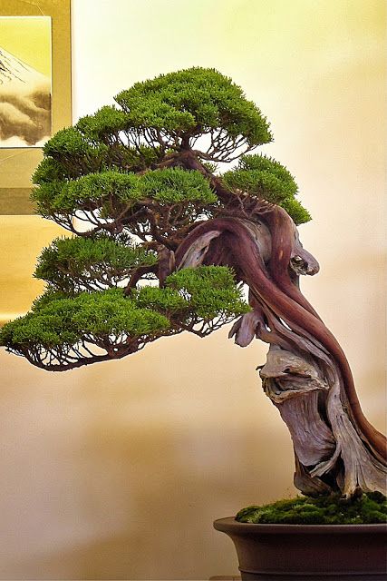 1d1cdf4ec2392c365ed5a9392b5db92b