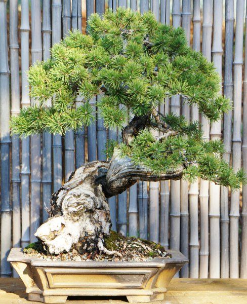 3d85eff740033d0ff4e8e5cc5ea6f684