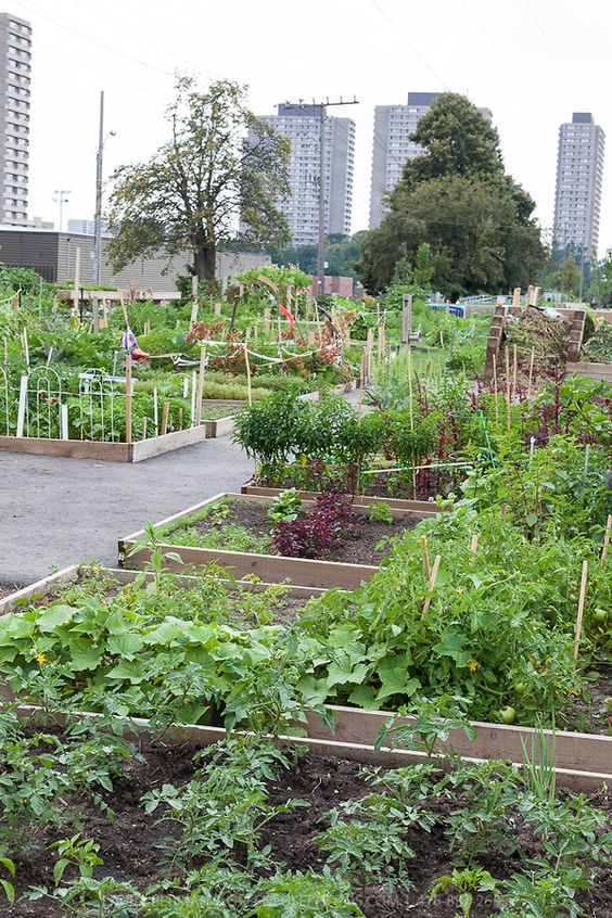 4540bca7fed7ba423cf277a2d412cca4