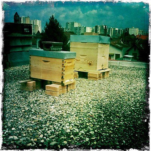 556c4999f8436d78b8dd7e8bce9447a1