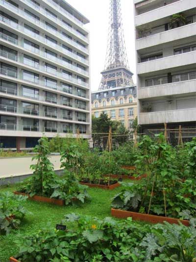 5e1c8ab59baf24600bff510320c17e7f (1)