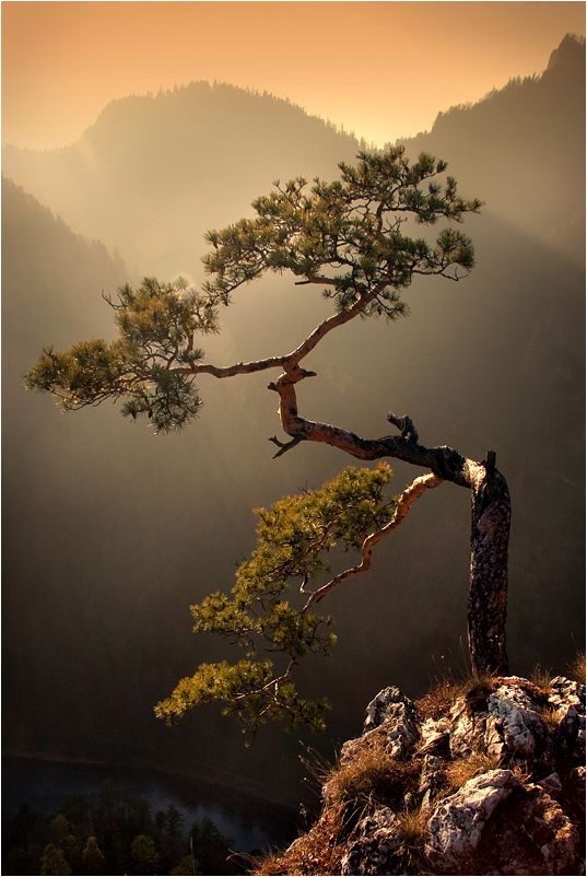 656583d9918c20c2ab0f4846cbb9de0f