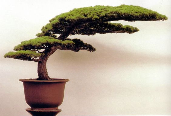 6ab3191edd1b70f9345ce36c27c99364