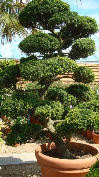 702869f3aecc23e4d2c1cc574de2810d