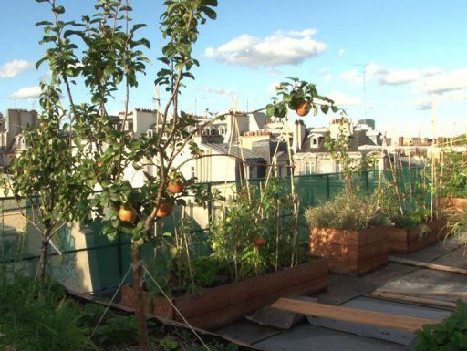 7bffcba37cd5c84ea5f8487033e2e066