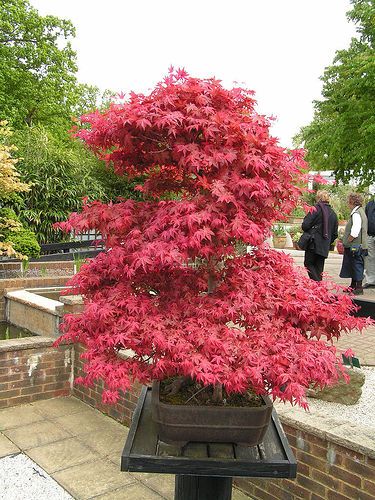 7da2371fa58f6f46425e11fb3a98042e