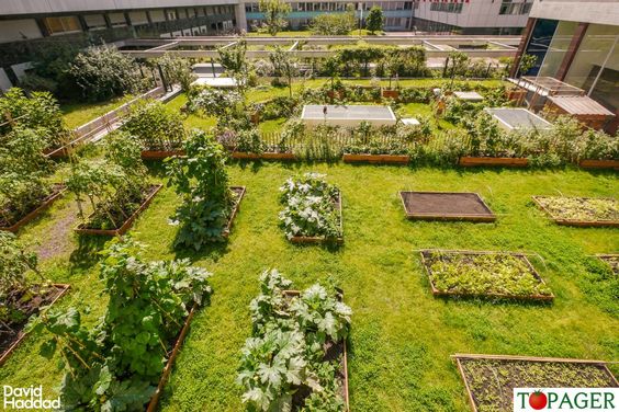 91ad3cfd2613b504eaeeb2a5e4013a95