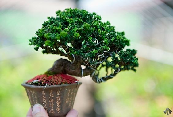 aff4601df7bca4c641e3ae1a7d5b2997