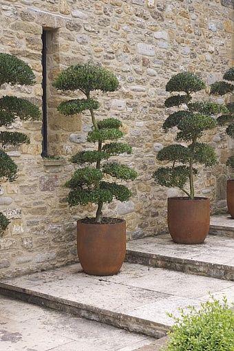 b8df07bb505d24b4b925f49b3f989ab2