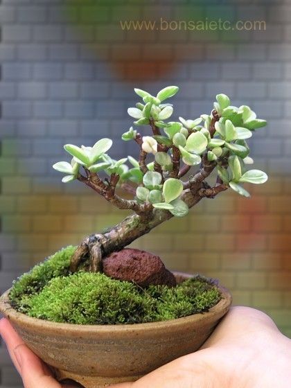 be04b6343e1cf3b51c9e895f66faba6e