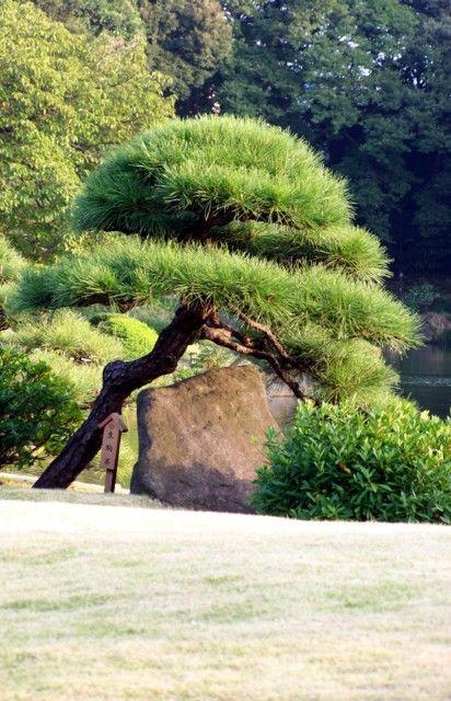 bf31b8c317be238eb58f0c6768908ae5