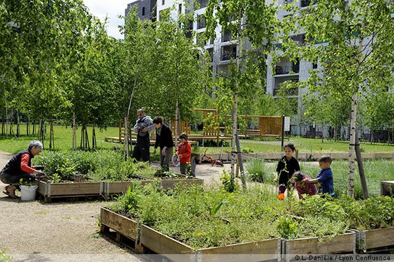 c4413c2202607b961cd72a132de61f81